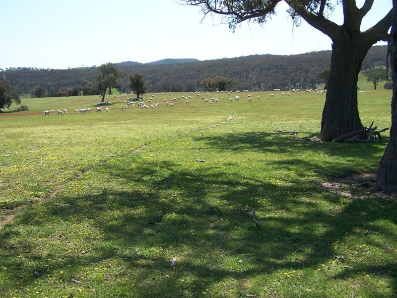 Lots 1 & 2 Karinya  Road, Binda NSW 2583