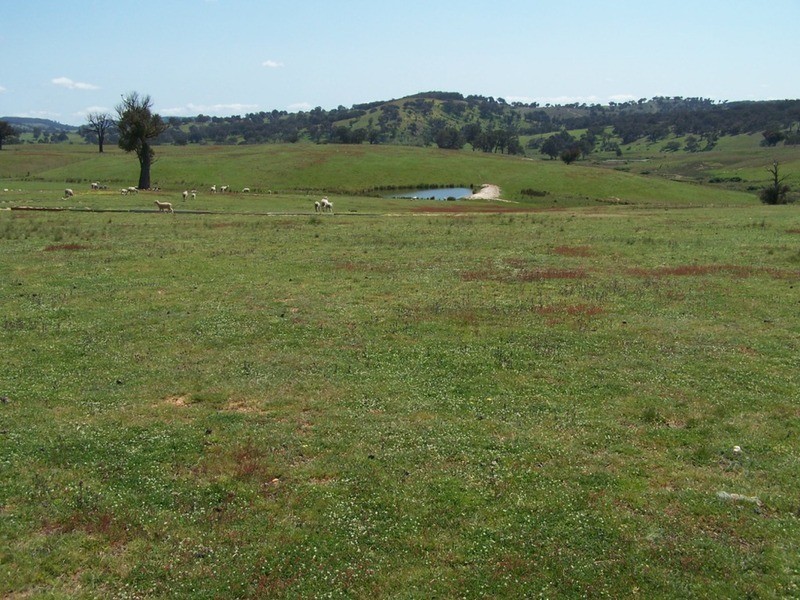 Lots 1 & 2 Karinya  Road, Binda NSW 2583