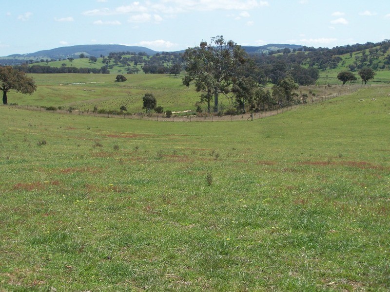 Lots 1 & 2 Karinya  Road, Binda NSW 2583