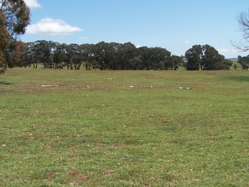 Lots 1 & 2 Karinya  Road, Binda NSW 2583