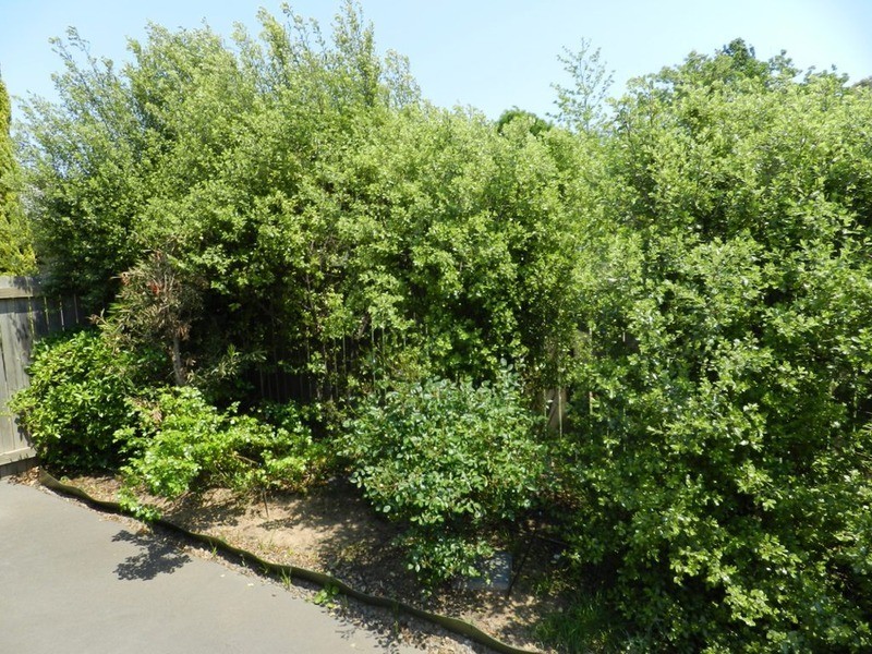 1/12 Major Drive, Goulburn NSW 2580