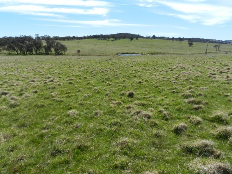 344 Dalton  Road, Gunning NSW 2581
