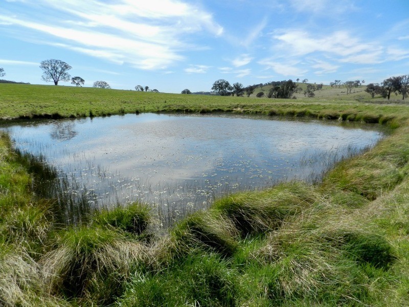 344 Dalton  Road, Gunning NSW 2581