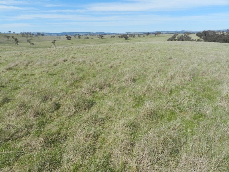 344 Dalton  Road, Gunning NSW 2581