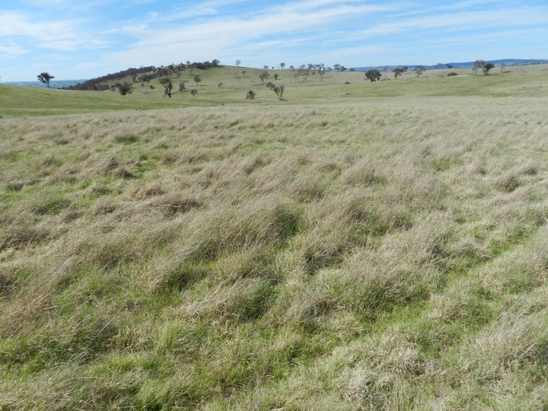 344 Dalton  Road, Gunning NSW 2581