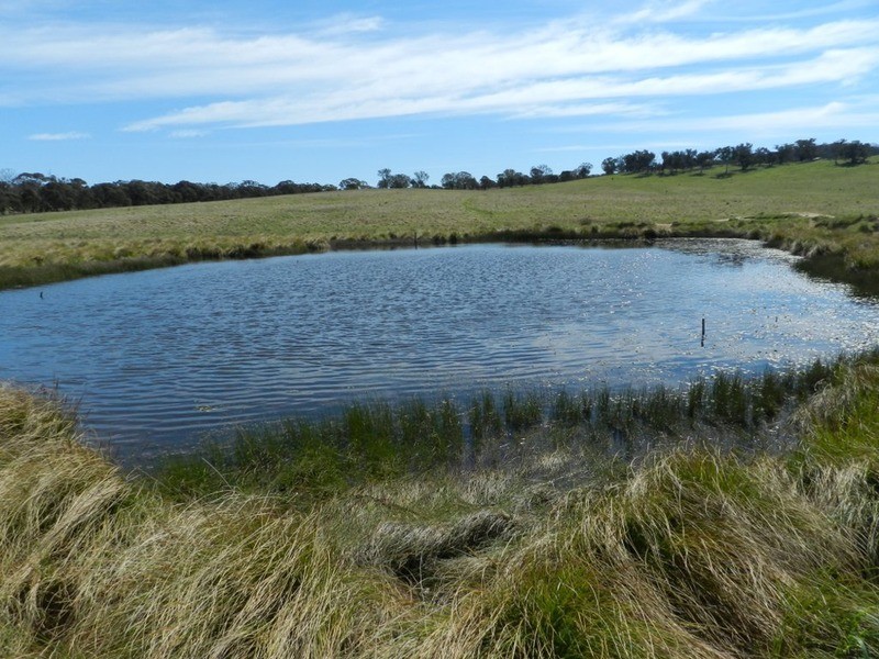 344 Dalton  Road, Gunning NSW 2581