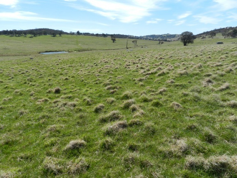 344 Dalton  Road, Gunning NSW 2581