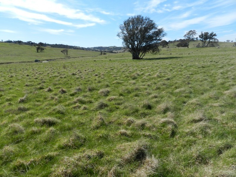 344 Dalton  Road, Gunning NSW 2581
