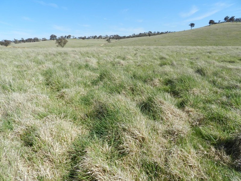 344 Dalton  Road, Gunning NSW 2581