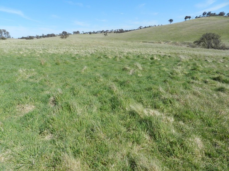 344 Dalton  Road, Gunning NSW 2581