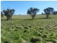 344 Dalton  Road, Gunning NSW 2581