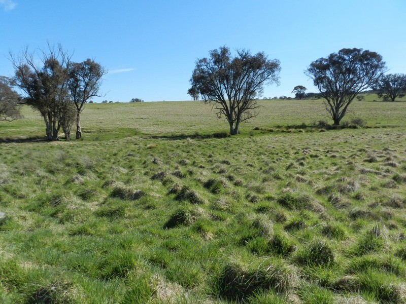 344 Dalton  Road, Gunning NSW 2581