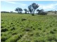 344 Dalton  Road, Gunning NSW 2581