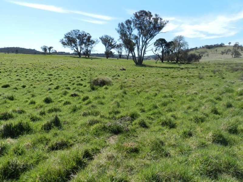 344 Dalton  Road, Gunning NSW 2581
