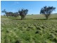 344 Dalton  Road, Gunning NSW 2581