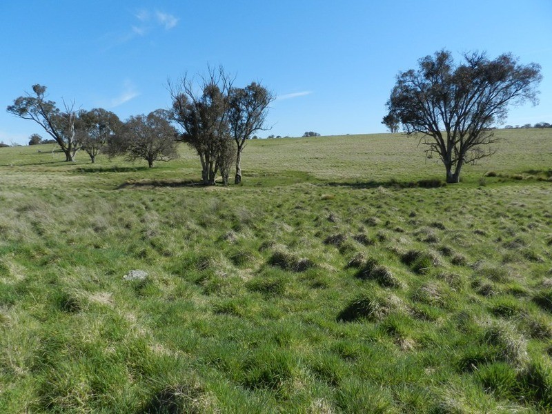 344 Dalton  Road, Gunning NSW 2581