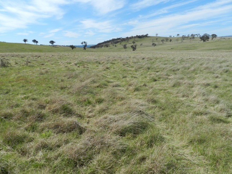 344 Dalton  Road, Gunning NSW 2581