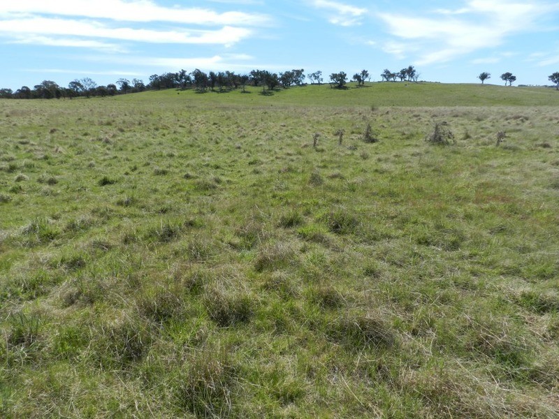 344 Dalton  Road, Gunning NSW 2581