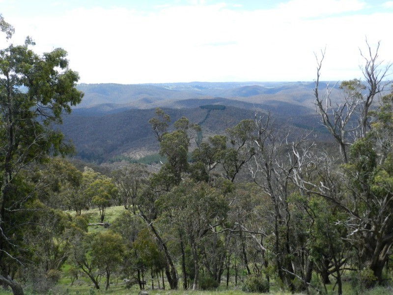 45 Cobodong Road, Taralga NSW 2580