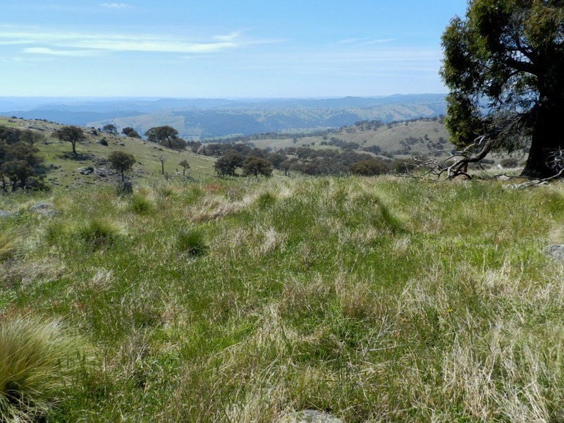 Lot 14 Greenmantle  Road, Bigga NSW 2583