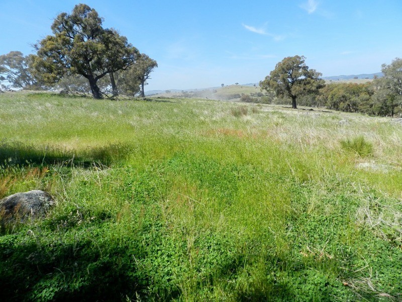 Lot 14 Greenmantle  Road, Bigga NSW 2583