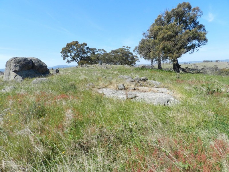 Lot 14 Greenmantle  Road, Bigga NSW 2583