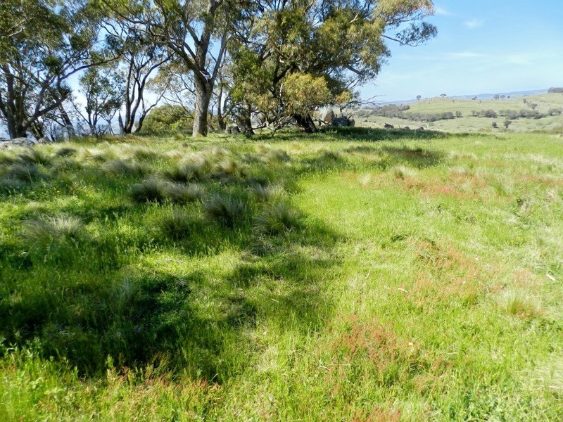 Lot 14 Greenmantle  Road, Bigga NSW 2583