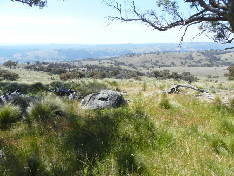 Lot 14 Greenmantle  Road, Bigga NSW 2583