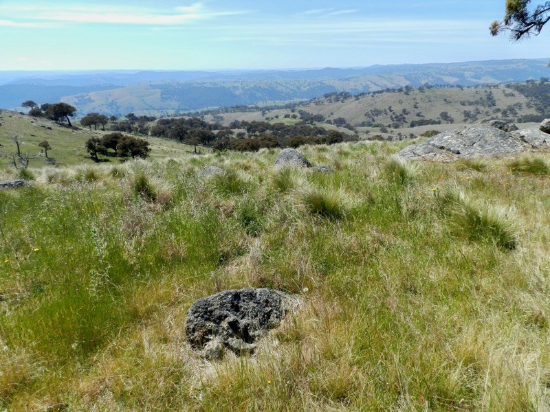 Lot 14 Greenmantle  Road, Bigga NSW 2583