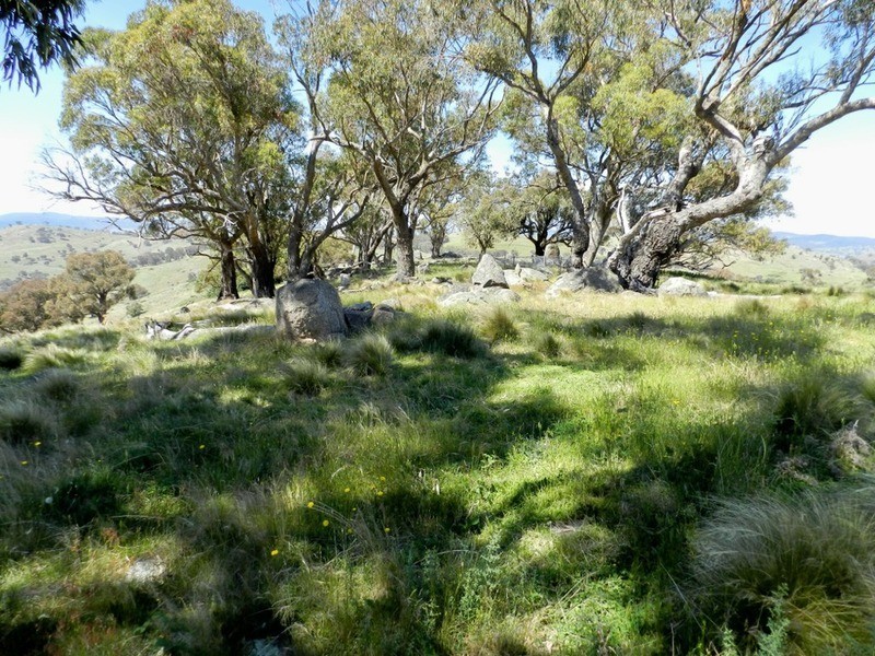 Lot 14 Greenmantle  Road, Bigga NSW 2583