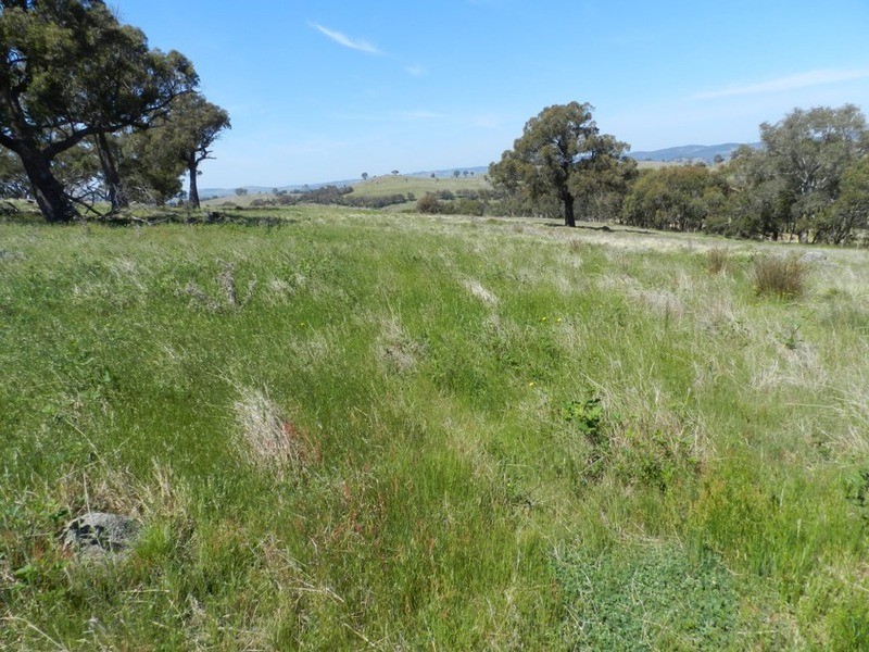 Lot 14 Greenmantle  Road, Bigga NSW 2583