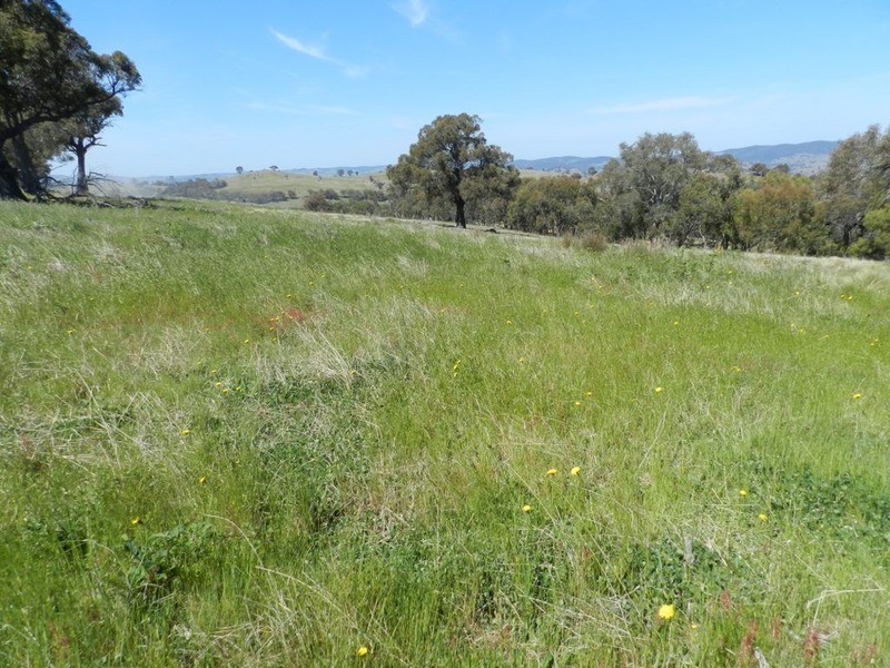 Lot 14 Greenmantle  Road, Bigga NSW 2583