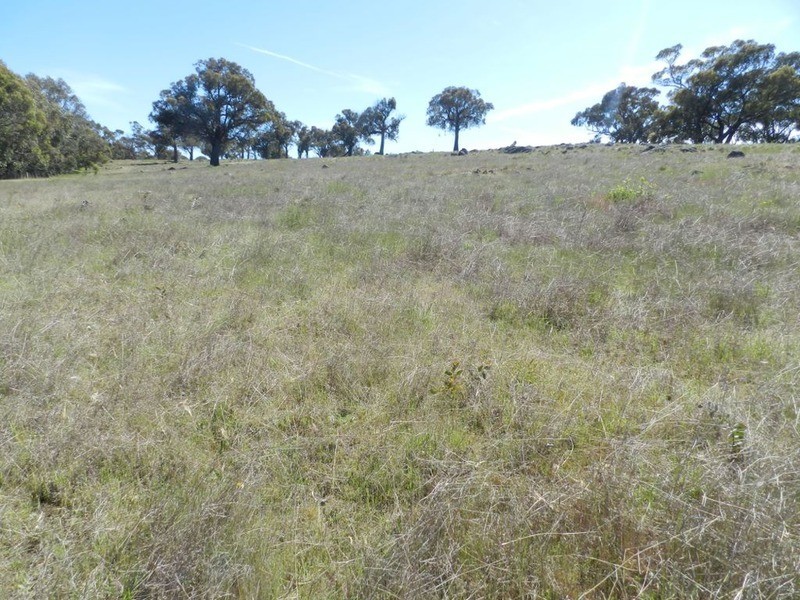 Lot 14 Greenmantle  Road, Bigga NSW 2583