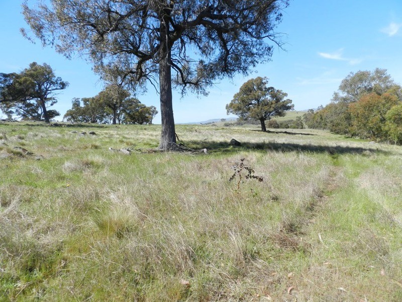 Lot 14 Greenmantle  Road, Bigga NSW 2583