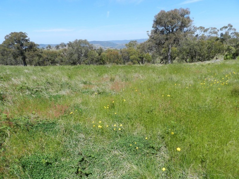 Lot 14 Greenmantle  Road, Bigga NSW 2583