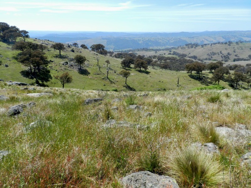 Lot 14 Greenmantle  Road, Bigga NSW 2583