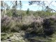 307 Claypit Road, Windellama NSW 2580
