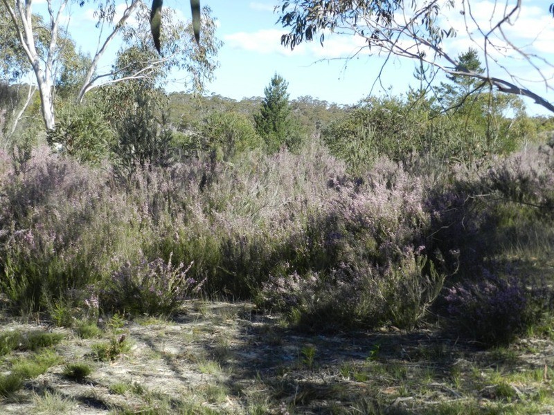 307 Claypit Road, Windellama NSW 2580