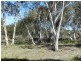 307 Claypit Road, Windellama NSW 2580
