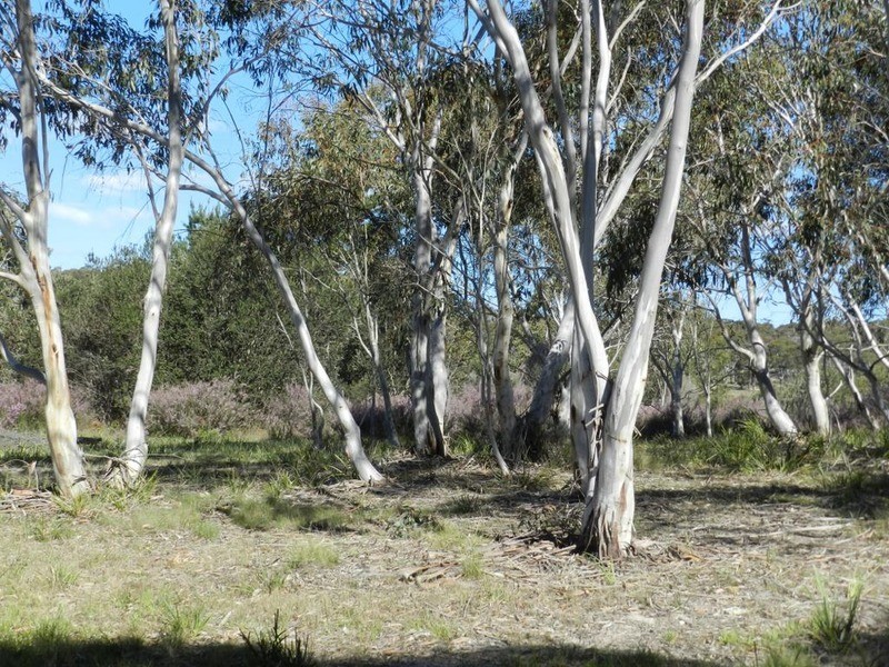 307 Claypit Road, Windellama NSW 2580