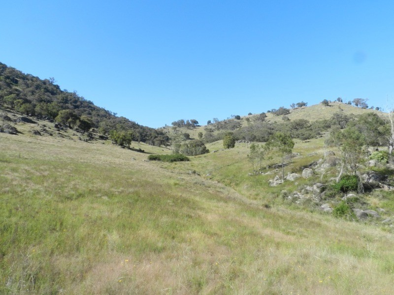 1469 Greenmantle  Road, Bigga NSW 2583