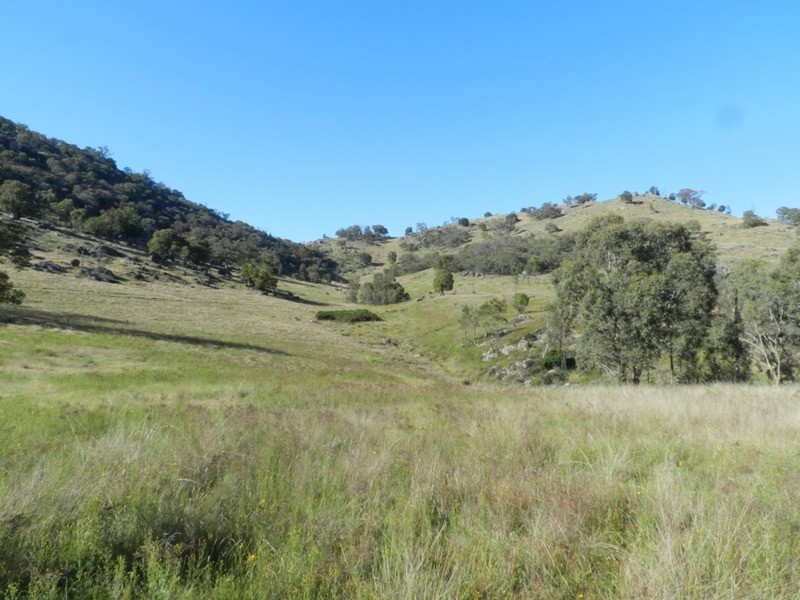 1469 Greenmantle  Road, Bigga NSW 2583