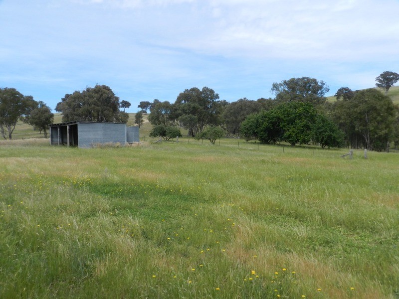 38 Lachlan Street, Bigga NSW 2583