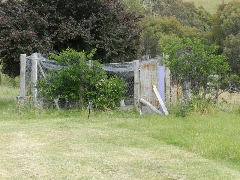 38 Lachlan Street, Bigga NSW 2583