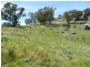 Lot 2 Decca Road, Bigga NSW 2583