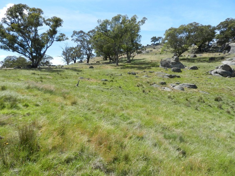 Lot 2 Decca Road, Bigga NSW 2583