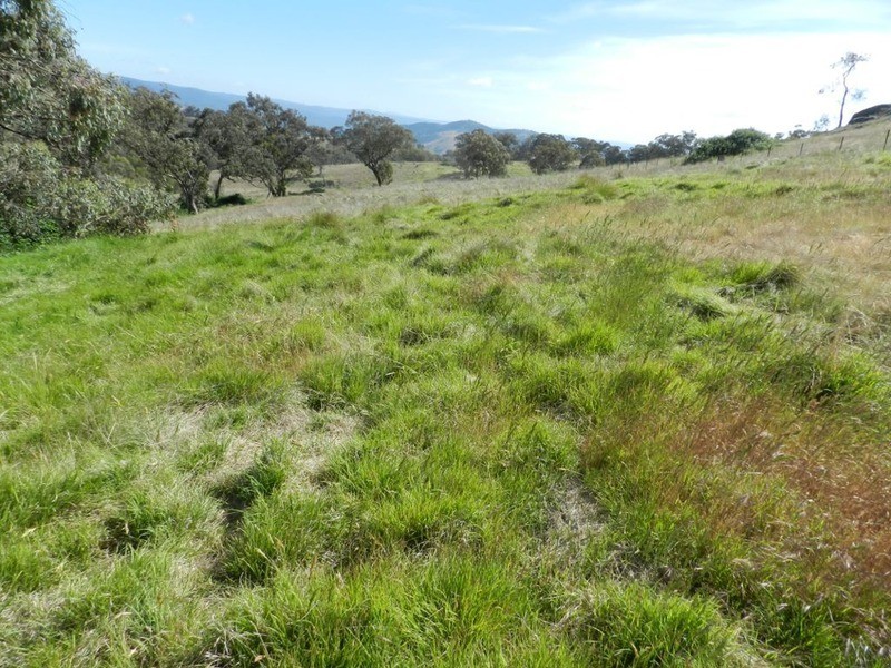 Lot 2 Decca Road, Bigga NSW 2583