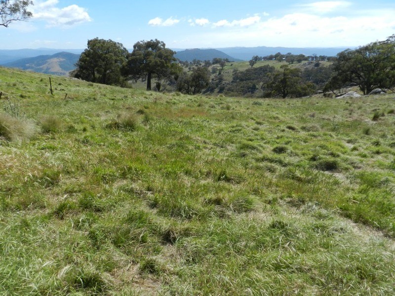 Lot 2 Decca Road, Bigga NSW 2583
