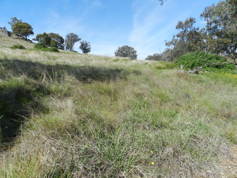 Lot 2 Decca Road, Bigga NSW 2583