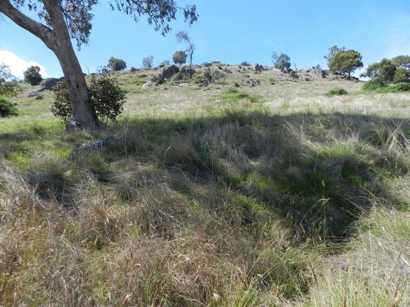 Lot 2 Decca Road, Bigga NSW 2583